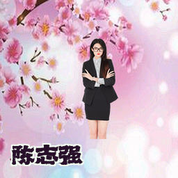陈志强